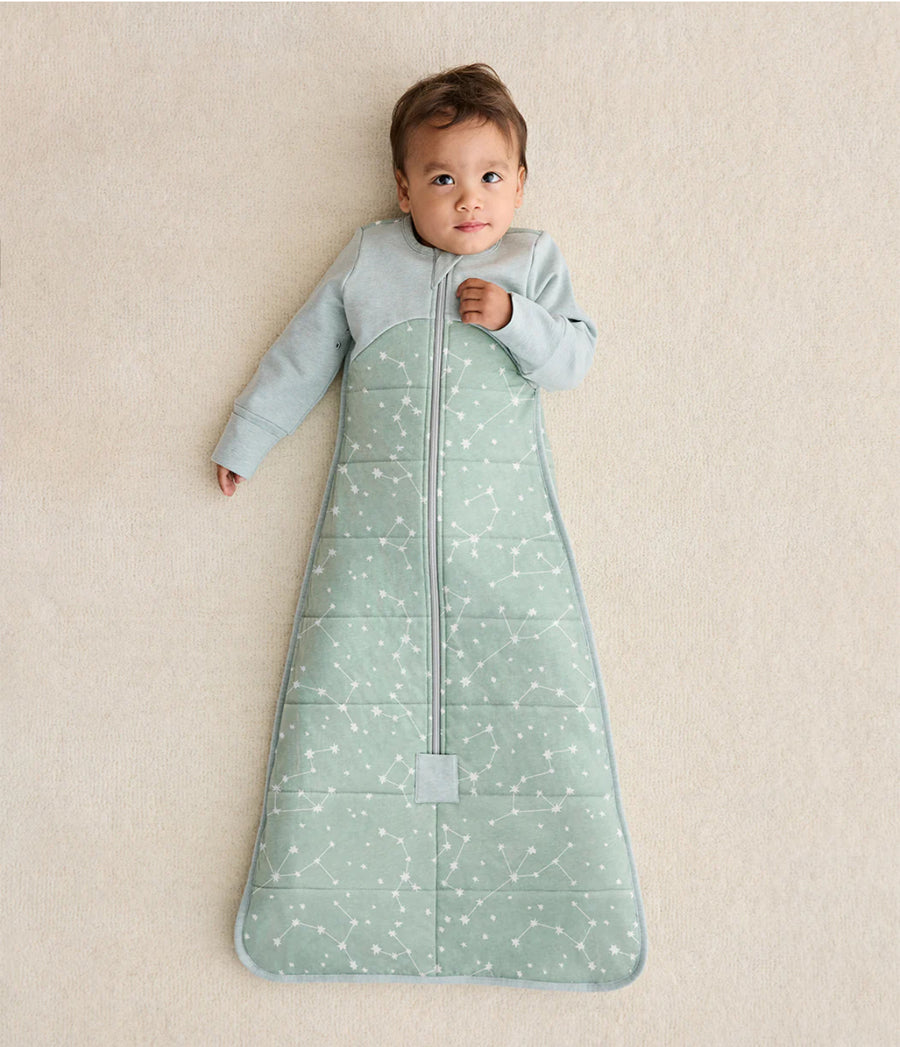 Love to Dream 2.5tog Sleep bag