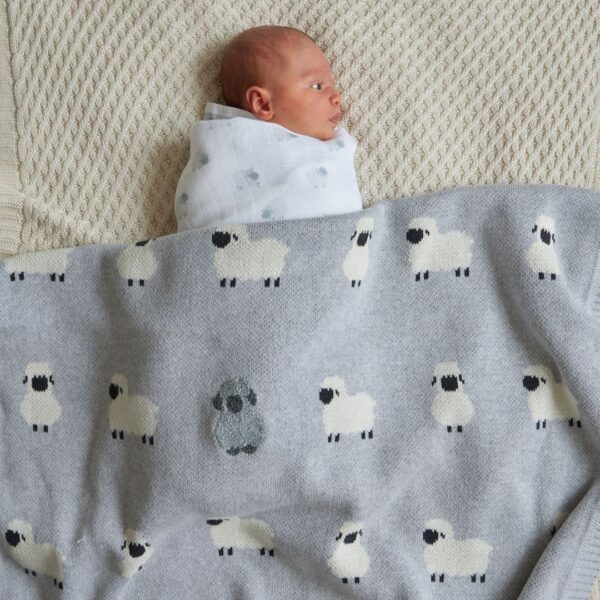 Little Meadows Knit Blanket - Jiggle and Giggle