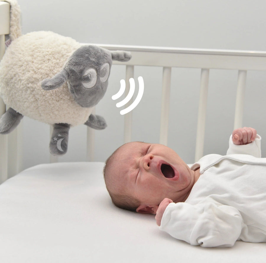 Ewan Deluxe Sleep Sheep