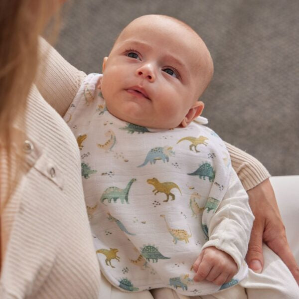 Jiggle and Giggle Muslin Bib sets