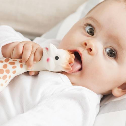 Sophie la girafe - Natural Teether