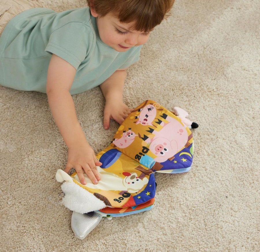 Jiggle and Giggle Activity Fabric Books - Assorted
