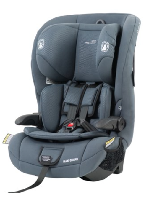 Safe n Sound Maxi Guard