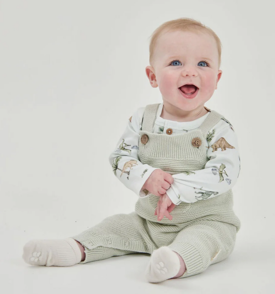 Aster and Oak - Dinosaur Henley Onesie