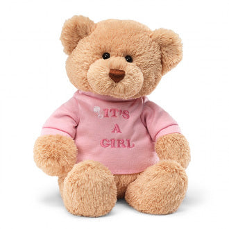 Pink Teddy Bears - My First Teddy