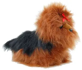Dog Yorkshire Terrier - Elka