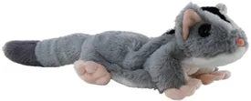 Sugar Glider - Elka