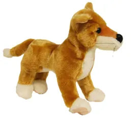 Dingo - Elka