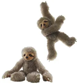 Two Toed Sloth - Elka