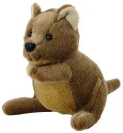 Quokka - Elka