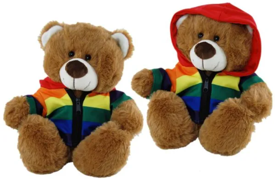 Rainbow Hoodie Bear