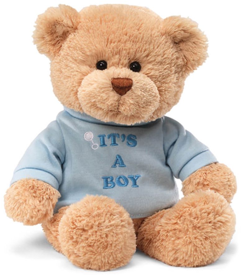 Blue Teddy Bears -  My first Teddy